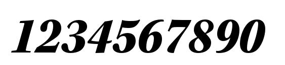 KeplerStd BlackScnIt Font, Number Fonts