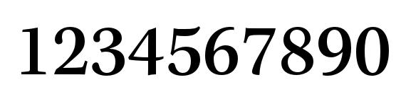 KeplerStd MediumCapt Font, Number Fonts