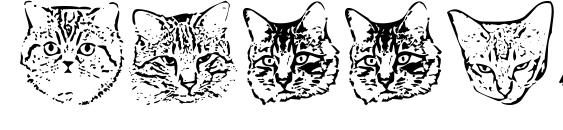 шрифт KittyPrint, бесплатный шрифт KittyPrint, предварительный просмотр шрифта KittyPrint