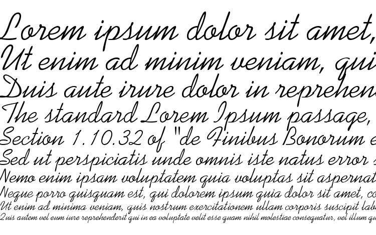 specimens Koala font, sample Koala font, an example of writing Koala font, review Koala font, preview Koala font, Koala font