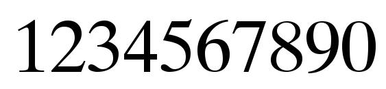 KOI8 Times Font, Number Fonts