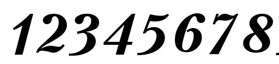 Kudrashov bold italic Font, Number Fonts