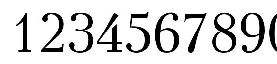 Kudrashov plain Font, Number Fonts