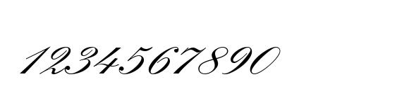 Kuenstler Script LT Bold Font, Number Fonts