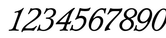 L890 Roman Italic Font, Number Fonts