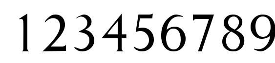Lapidary Font, Number Fonts