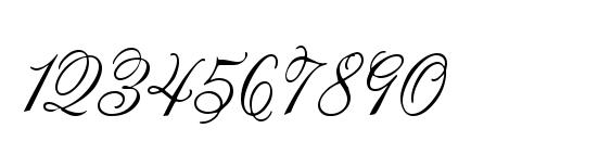 Lastochka Font, Number Fonts