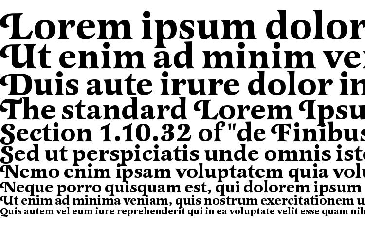 specimens LatienneSwaT Bold font, sample LatienneSwaT Bold font, an example of writing LatienneSwaT Bold font, review LatienneSwaT Bold font, preview LatienneSwaT Bold font, LatienneSwaT Bold font