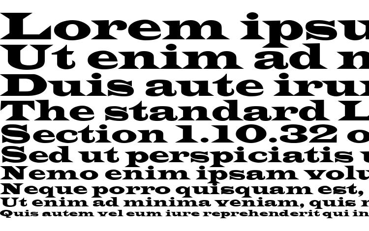 specimens Latin regular font, sample Latin regular font, an example of writing Latin regular font, review Latin regular font, preview Latin regular font, Latin regular font