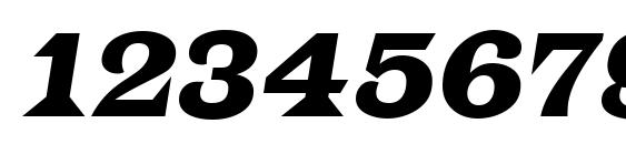 Latinonr italic Font, Number Fonts