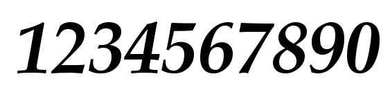 LatinoPal6 BoldItalicSH Font, Number Fonts