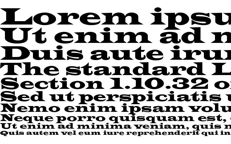 specimens LatinWidD font, sample LatinWidD font, an example of writing LatinWidD font, review LatinWidD font, preview LatinWidD font, LatinWidD font