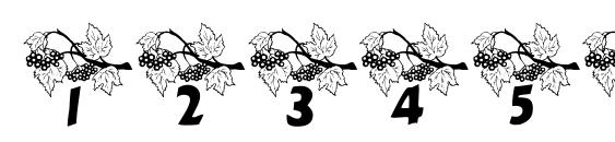 LCR Autumn Font, Number Fonts