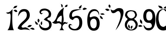 Leaf1 Font, Number Fonts
