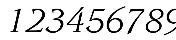 LeawoodStd BookItalic Font, Number Fonts