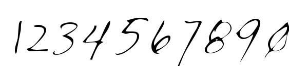 LEHN035 Font, Number Fonts