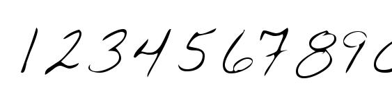 LEHN054 Font, Number Fonts