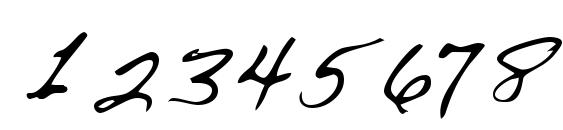 LEHN076 Font, Number Fonts