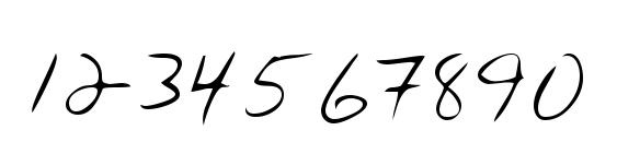LEHN132 Font, Number Fonts