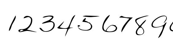 Lehn136 Font, Number Fonts