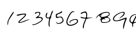 LEHN161 Font, Number Fonts