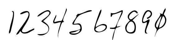 LEHN165 Font, Number Fonts