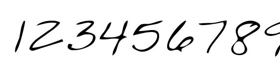 LEHN203 Font, Number Fonts