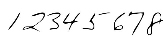 LEHN228 Font, Number Fonts
