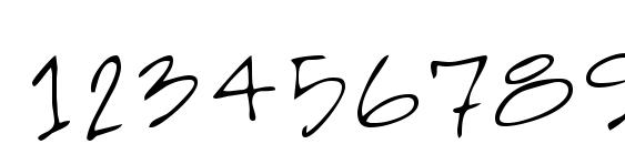 LEHN257 Font, Number Fonts
