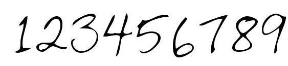 LEHN261 Font, Number Fonts