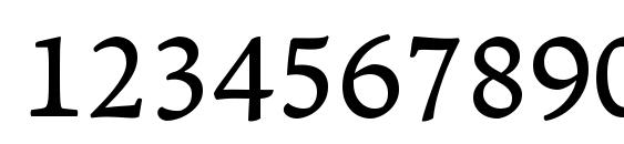 LeksaPro DemiBold Font, Number Fonts