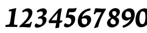 LeksaPro ExtraBold Italic Font, Number Fonts