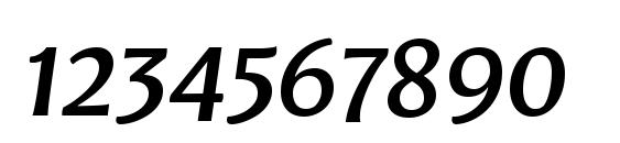 LeksaSansPro DemiBold Italic Font, Number Fonts