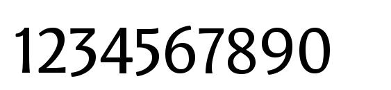 LeksaSansPro Font, Number Fonts