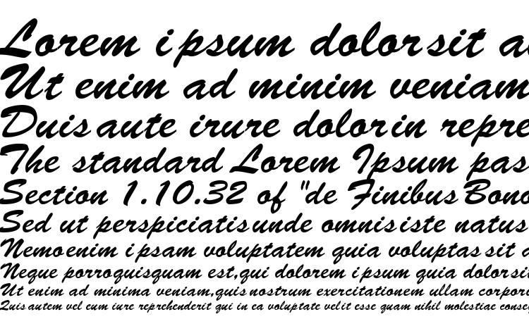 образцы шрифта LetterMotion Normal Italic, образец шрифта LetterMotion Normal Italic, пример написания шрифта LetterMotion Normal Italic, просмотр шрифта LetterMotion Normal Italic, предосмотр шрифта LetterMotion Normal Italic, шрифт LetterMotion Normal Italic
