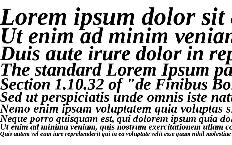 specimens Liberation Serif Bold Italic font, sample Liberation Serif Bold Italic font, an example of writing Liberation Serif Bold Italic font, review Liberation Serif Bold Italic font, preview Liberation Serif Bold Italic font, Liberation Serif Bold Italic font