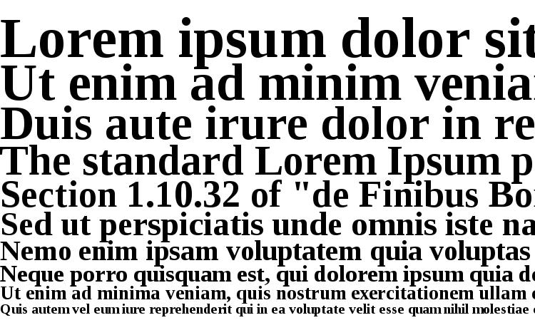 specimens Liberation Serif Bold font, sample Liberation Serif Bold font, an example of writing Liberation Serif Bold font, review Liberation Serif Bold font, preview Liberation Serif Bold font, Liberation Serif Bold font