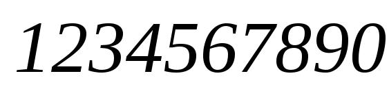 Liberation Serif Italic Font, Number Fonts
