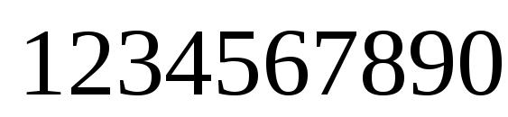 Liberation Serif Font, Number Fonts