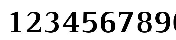Libre Serif SSi Bold Font, Number Fonts