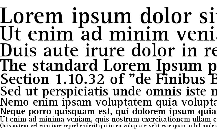 specimens Libre Serif SSi Bold font, sample Libre Serif SSi Bold font, an example of writing Libre Serif SSi Bold font, review Libre Serif SSi Bold font, preview Libre Serif SSi Bold font, Libre Serif SSi Bold font
