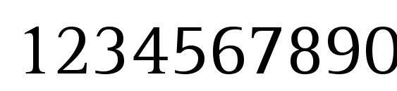 Libre Serif SSi Font, Number Fonts