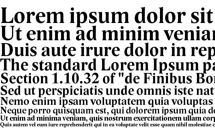 specimens Lido STF Bold font, sample Lido STF Bold font, an example of writing Lido STF Bold font, review Lido STF Bold font, preview Lido STF Bold font, Lido STF Bold font