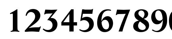 LifeLTStd Bold Font, Number Fonts