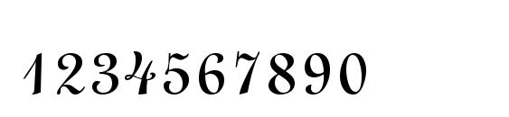 LightScript Regular DB Font, Number Fonts