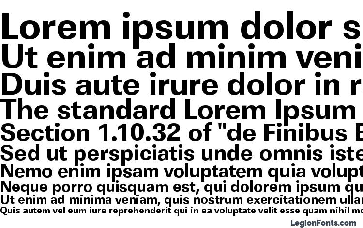 specimens LinearStd Xbold Regular font, sample LinearStd Xbold Regular font, an example of writing LinearStd Xbold Regular font, review LinearStd Xbold Regular font, preview LinearStd Xbold Regular font, LinearStd Xbold Regular font