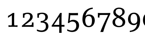 LinoLetter Roman Small Caps & Oldstyle Figures Font, Number Fonts