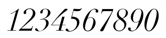 Linotype Didot LT Italic Font, Number Fonts