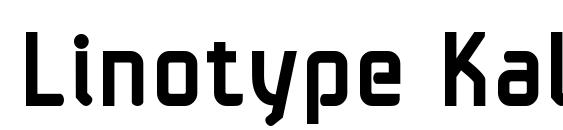 Linotype Kaliber Bold Font