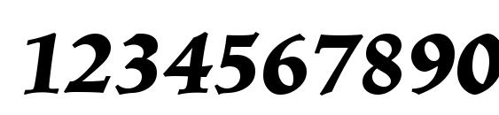 Linotype Trajanus BlackItalic Font, Number Fonts